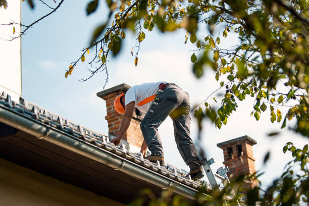 Best Roof Waterproofing Services  in Grant, MN