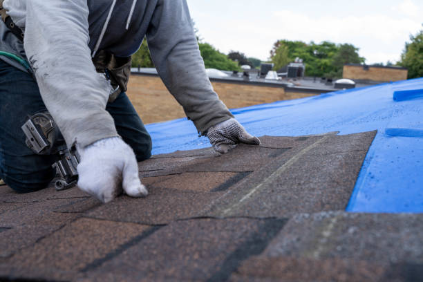 Tile Roofing Contractor in Grant, MN